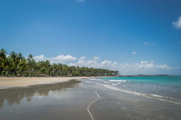 Brazylijski plaże - Praia de Carneiros, Pernambuco — Zdjęcie stockowe