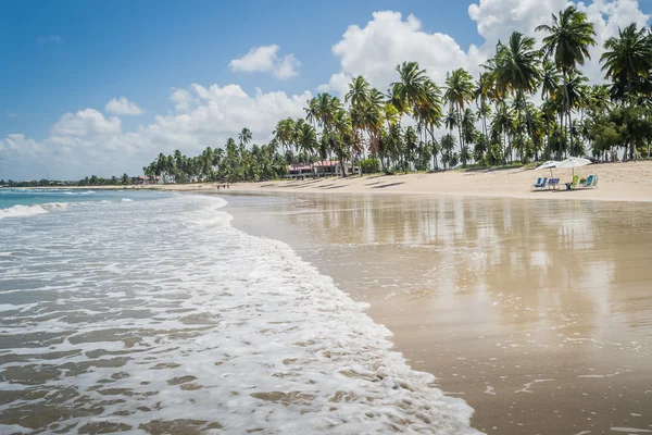 Brazilské pláže - Praia de Carneiros, Pernambuco — Stock fotografie