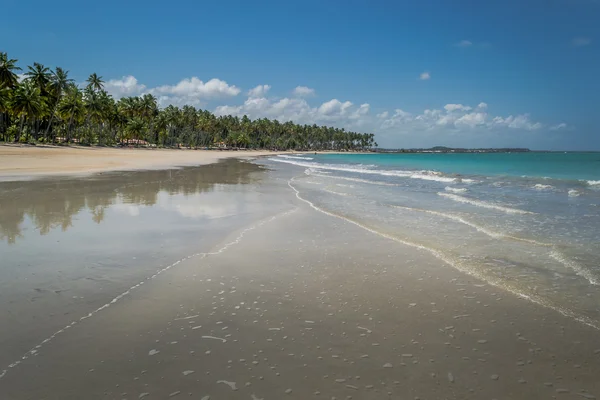 Spiagge Brasiliane Praia de Carneiros, Pernambuco — Foto Stock