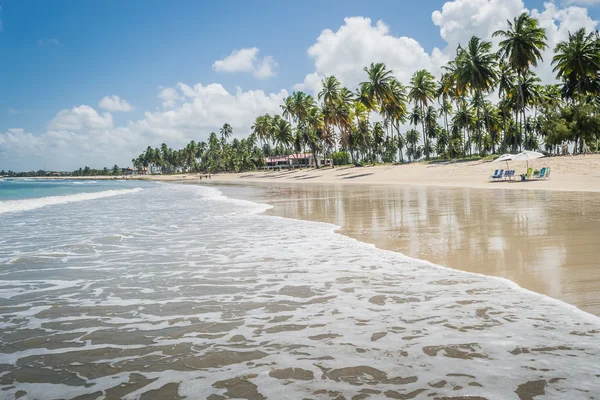 Brasilianska stränder - Praia de Carneiros, Pernambuco — Stockfoto