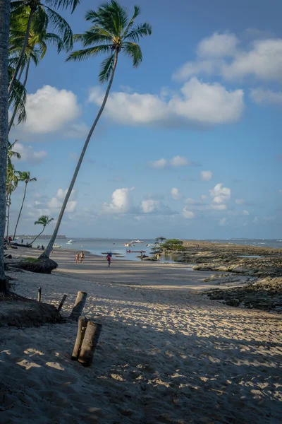 Playas brasileñas - Praia de Carneiros, Pernambuco —  Fotos de Stock