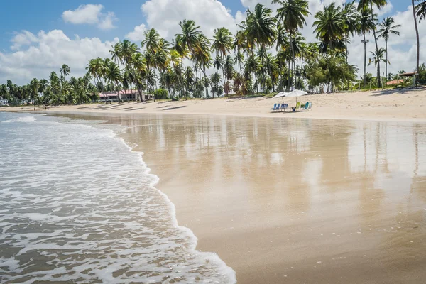 Бразильський пляжів - Прайя-де-Carneiros, Пернамбуку — стокове фото