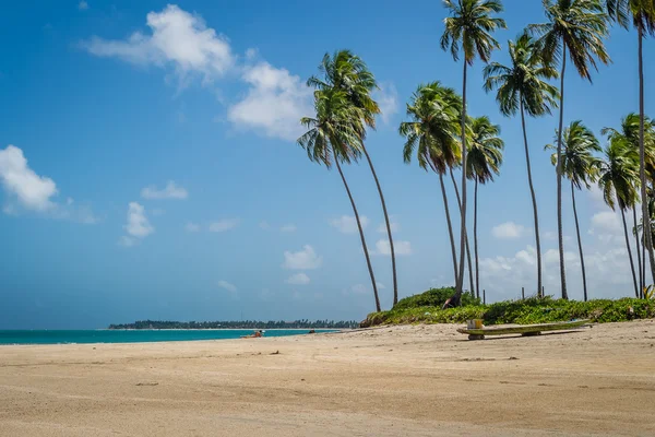 Playas brasileñas - Praia de Carneiros, Pernambuco — Foto de Stock