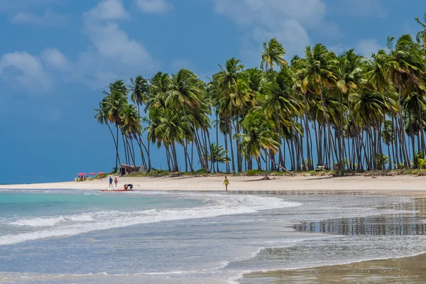 Бразильские пляжи - Praia de Carneiros, Pernambuco — стоковое фото