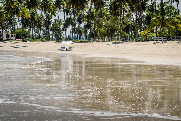 Brazilské pláže - Praia de Carneiros, Pernambuco — Stock fotografie