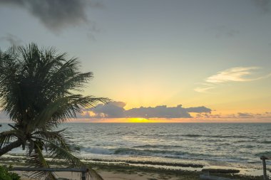 Brezilyalı plajlar Pontal yapmak Coruripe, Alagoas