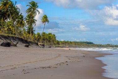 Brezilyalı plajlar Pontal yapmak Coruripe, Alagoas