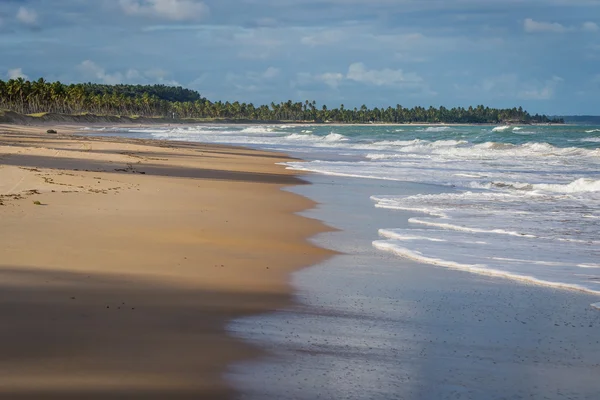 Playas brasileñas-Pontal do Coruripe, Alagoas — Foto de Stock