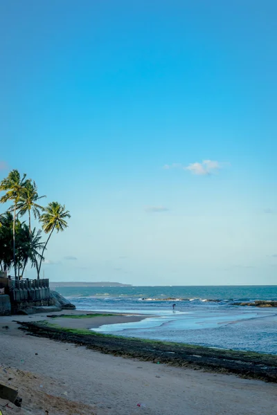 Playas brasileñas-Pontal do Coruripe, Alagoas —  Fotos de Stock