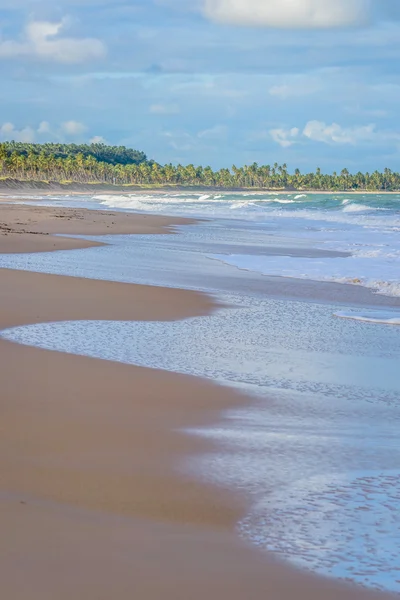 Brazilian Beaches-Pontal do Coruripe, Alagoas — Stock Photo, Image