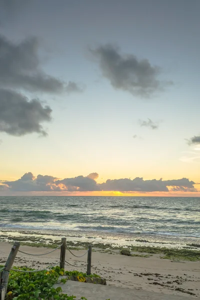 Brazylijski plaże-Pontal czy Coruripe, Alagoas — Zdjęcie stockowe