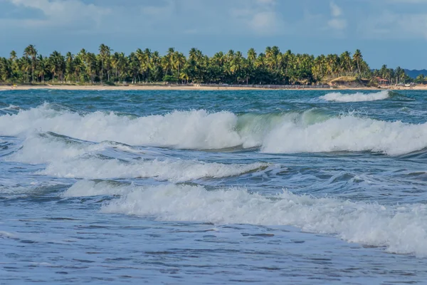 Playas brasileñas-Pontal do Coruripe, Alagoas —  Fotos de Stock