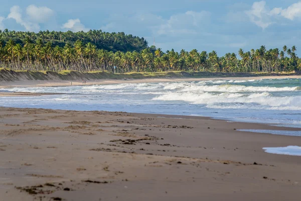 Brazilské pláže-Pontal Coruripe, Alagoas — Stock fotografie