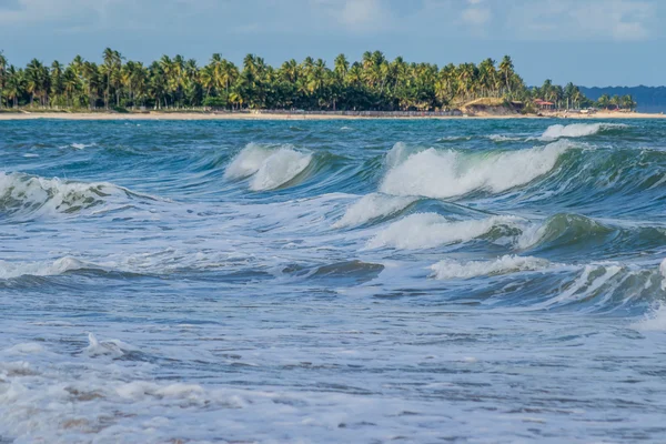 Playas brasileñas-Pontal do Coruripe, Alagoas —  Fotos de Stock