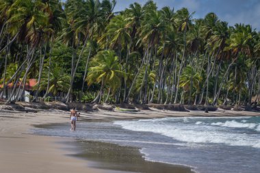Carneiros Beach, Tamandare-Pernambuco