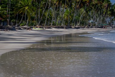 Carneiros Beach, Tamandare-Pernambuco