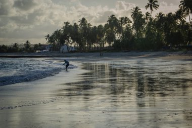 Carneiros Beach, Tamandare-Pernambuco