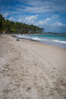 Carneiros Beach, Tamandare-Pernambuco