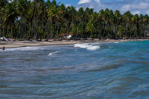 Pláž Carneiros, Tamandare Pernambuco — Stock fotografie