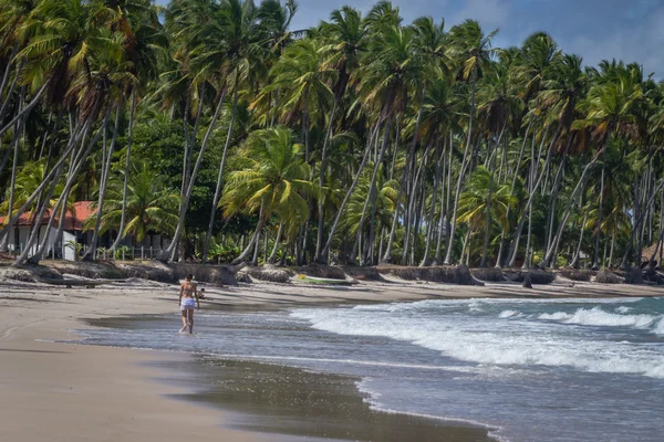 Strand van Carneiros, Tamandare-Pernambuco — Stockfoto