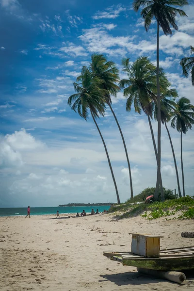 Playa de Carneiros, Tamandare-Pernambuco — Foto de Stock