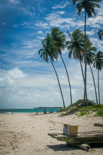 Pláž Carneiros, Tamandare Pernambuco — Stock fotografie