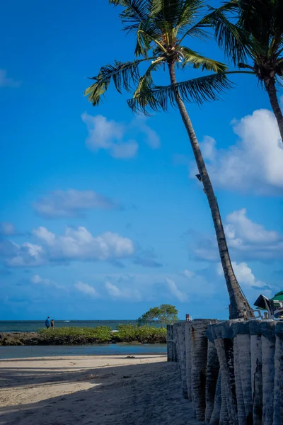 Beach of Carneiros, Tamandare-Pernambuco — Stock Photo, Image