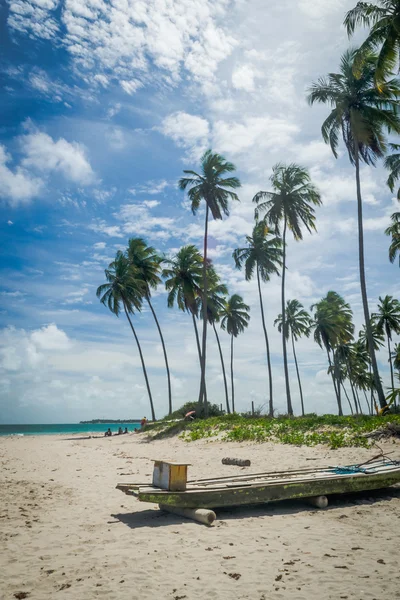 Plaża Carneiros, Tamandare-Pernambuco — Zdjęcie stockowe