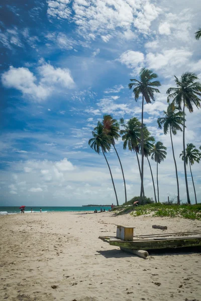 Plage de Carneiros, Tamandare-Pernambuco — Photo