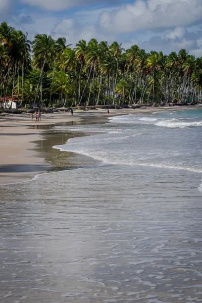 Пляж Carneiros, Tamandare Пернамбуку — стокове фото