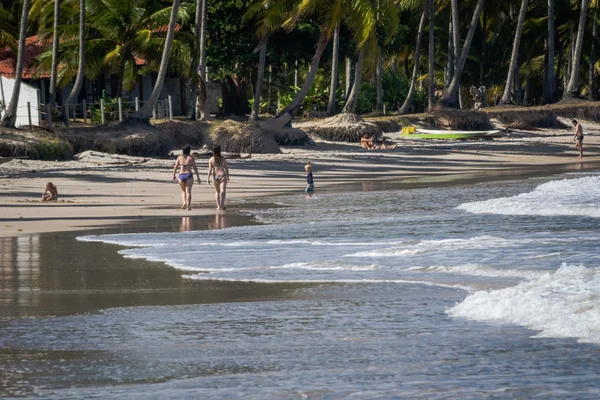 Plage de Carneiros, Tamandare-Pernambuco — Photo