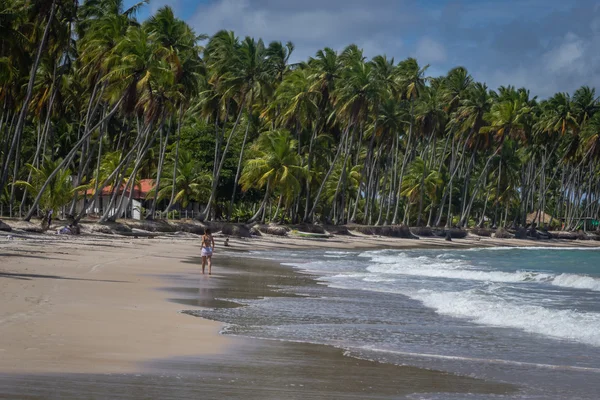 Пляж Carneiros, Tamandare Пернамбуку — стокове фото
