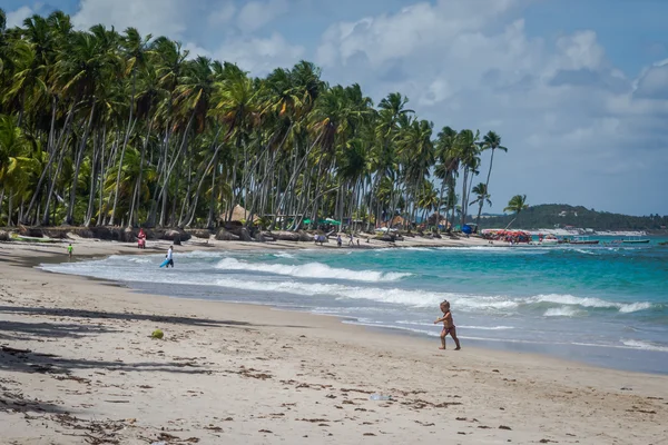 Pláž Carneiros, Tamandare Pernambuco — Stock fotografie