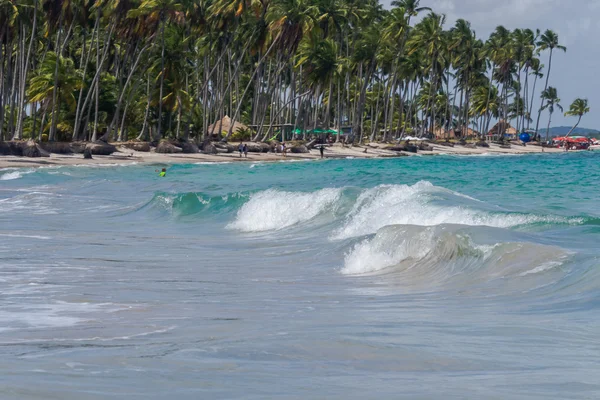 Pláž Carneiros, Tamandare Pernambuco — Stock fotografie