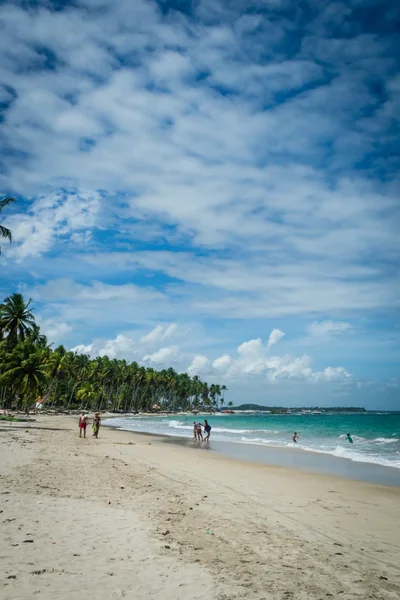 Пляж Carneiros, Tamandare Пернамбуку — стокове фото