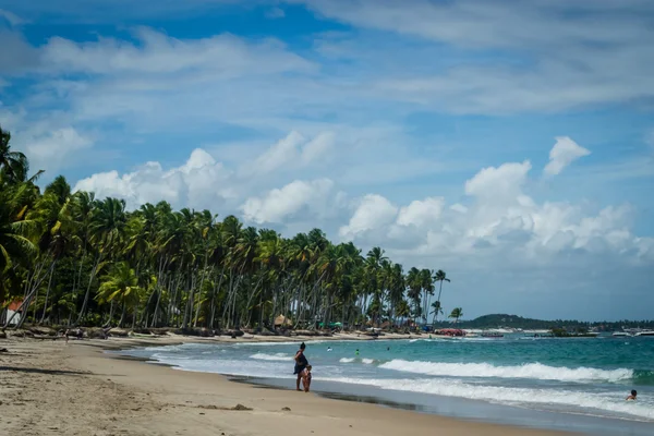 Пляж Carneiros, Tamandare Пернамбуку — стокове фото