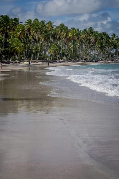 Пляж Carneiros, Tamandare Пернамбуку — стокове фото