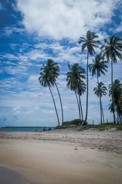 Пляж Carneiros, Tamandare Пернамбуку — стокове фото