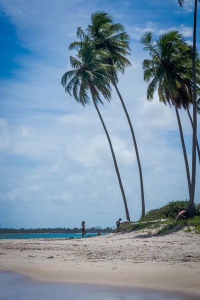 Plage de Carneiros, Tamandare-Pernambuco — Photo