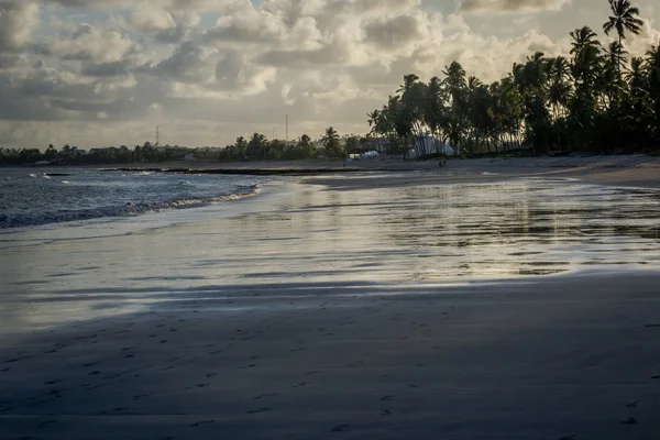 Пляж Carneiros, Tamandare Пернамбуку — стокове фото