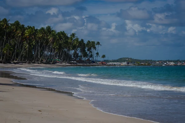 Пляж Carneiros, Tamandare Пернамбуку — стокове фото