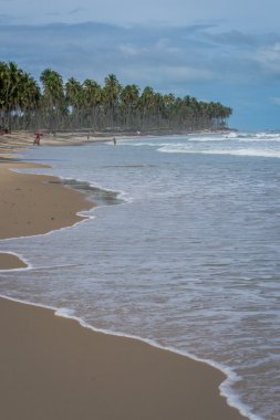 Brezilyalı plajlar - Paiva plaj, Pernambuco - Brezilya