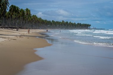 Brezilyalı plajlar - Paiva plaj, Pernambuco - Brezilya