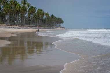 Brezilyalı plajlar - Paiva plaj, Pernambuco - Brezilya
