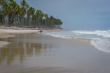 Brezilyalı plajlar - Paiva plaj, Pernambuco - Brezilya