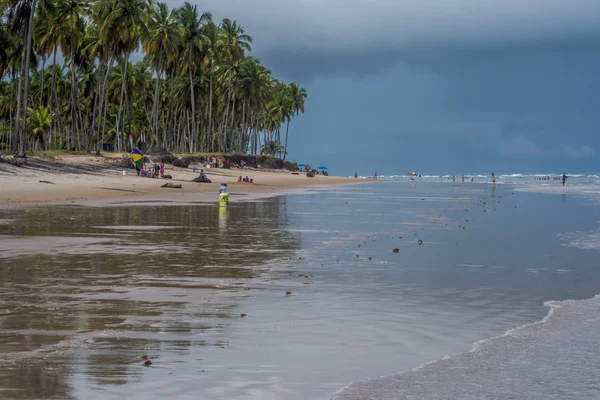 Braziliaanse stranden - Paiva Beach, Pernambuco - Brazilië — Stockfoto