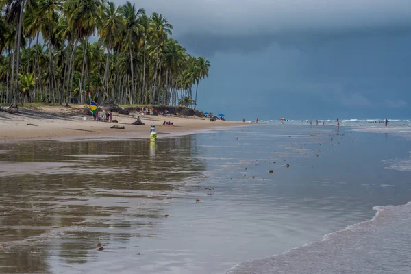 Brazilské pláže - pláž Paiva, Pernambuco - Brazílie — Stock fotografie