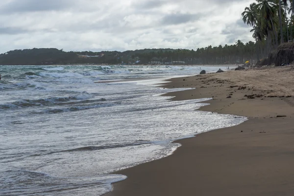 Brazilské pláže - pláž Paiva, Pernambuco - Brazílie — Stock fotografie