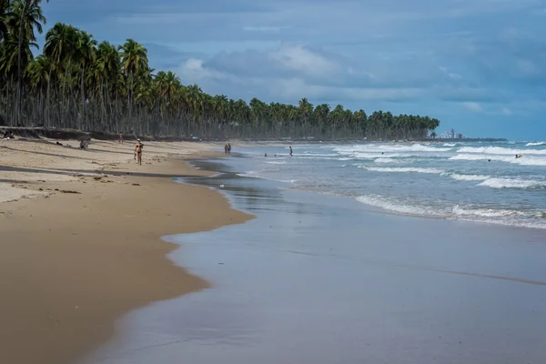 Brazylijski plaże - plaża Paiva, Pernambuco - Brazylia — Zdjęcie stockowe