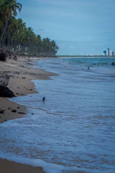Brazilské pláže - pláž Paiva, Pernambuco - Brazílie — Stock fotografie